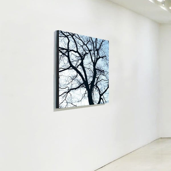 Obraz Remember Old Trees 1-image-1