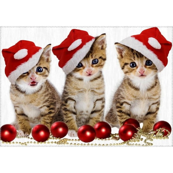 Vianočné obdobie Koberec Vitaus, tri mačky, 50 x 80 cm