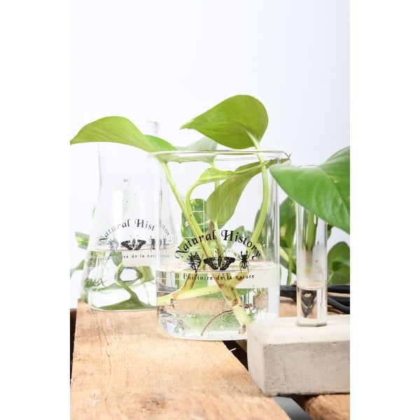 Sklenená váza (výška 12 cm) Natural History – Esschert Design-image-2