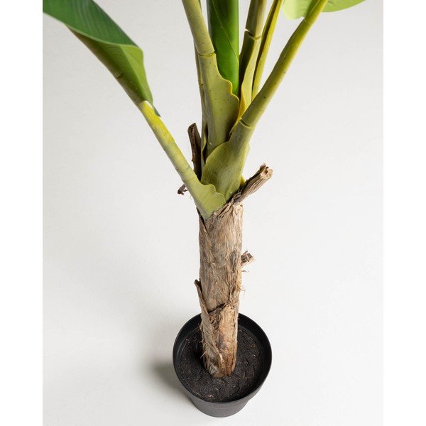 Umelá palma (výška 160 cm) Baa – Kave Home-image-2