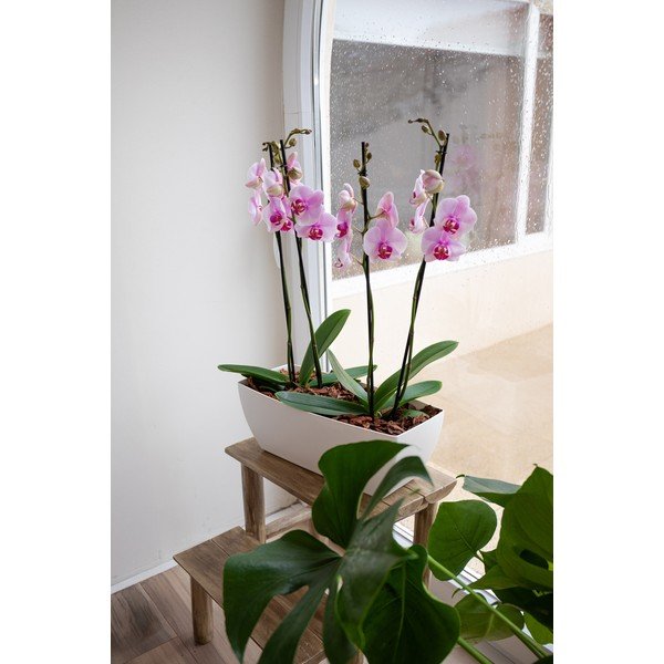 Kvetináč z recyklovaného plastu 40 cm Siena – Artevasi-image-2