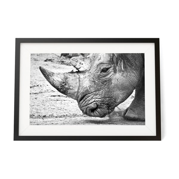 Zarámovaný plagát We Love Home Rhinoceros, 30 x 40 cm