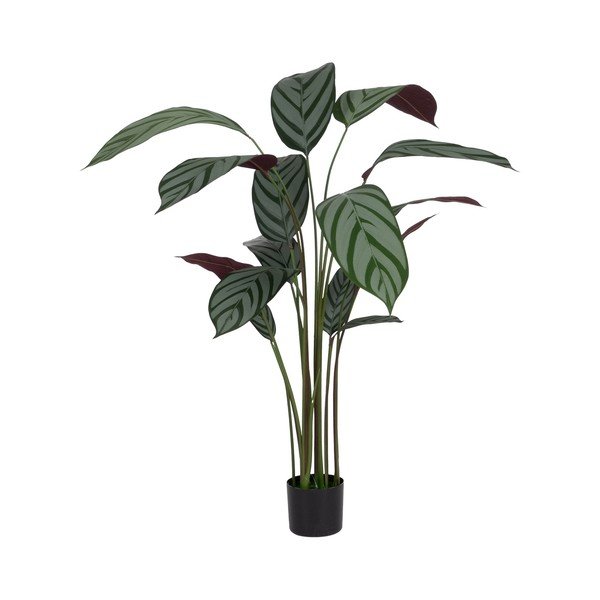 Umelá rastlina (výška 150 cm) Calathea – Ixia