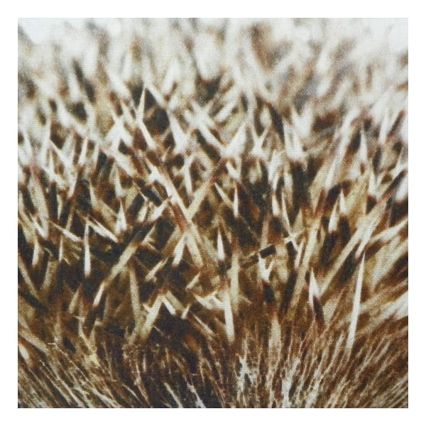 Vankúš Winter Hedgehog 50x50 cm-image-2