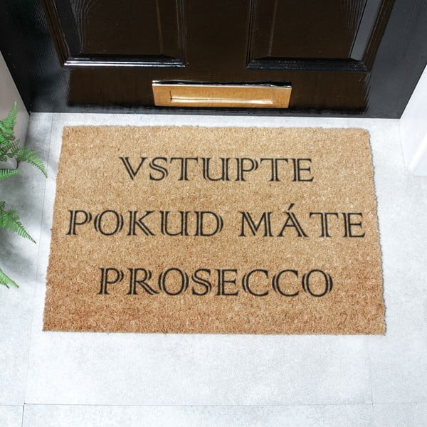 Rohožka z kokosového vlákna 40x60 cm Prosecco – Artsy Doormats-image-2