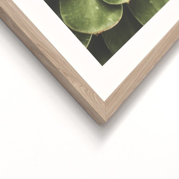 Tlačené obrazy v súprave 2 ks s rámom 30x40 cm Beauty Green – Styler-image-3