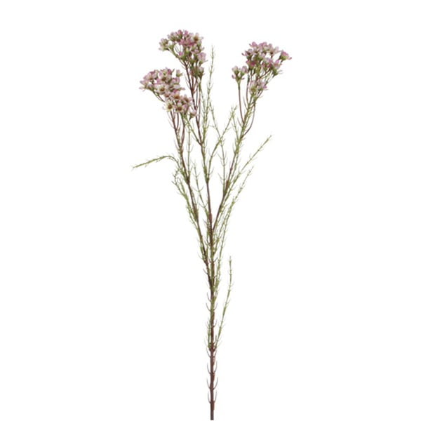 Umelá kvetina fialová Ego dekor Chamelaucium, výška 80 cm