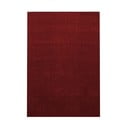 Vínový koberec 120x170 cm Ata – Ayyildiz Carpets