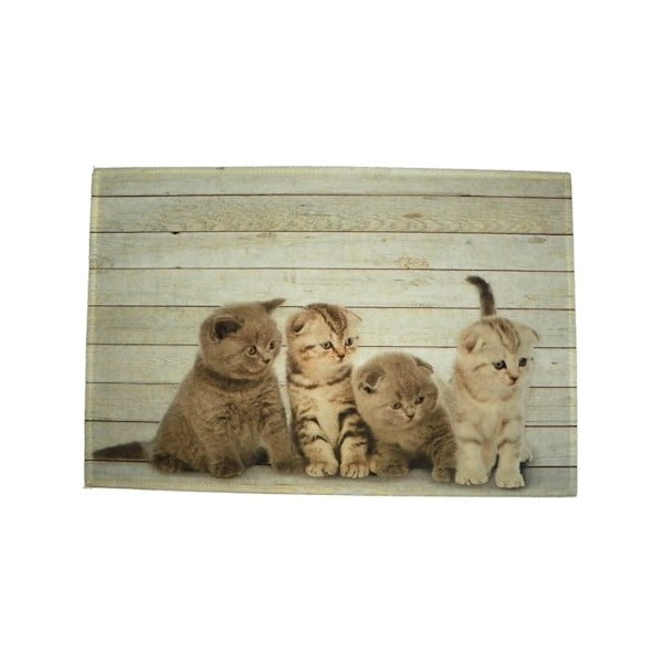 Prestieranie Four Kitten British Shorthare 40x30 cm
