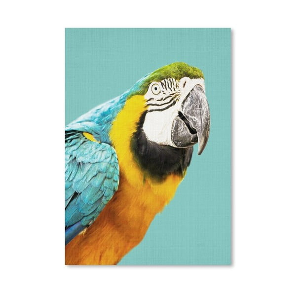 Plagát Tropical Parrot