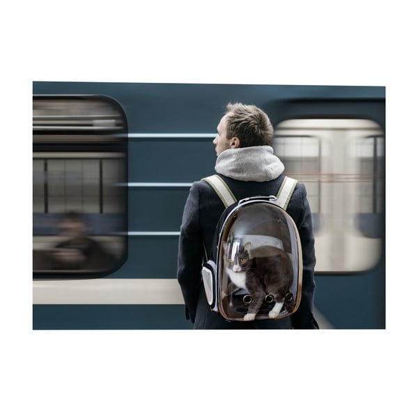 Prepravná taška pre domáceho miláčika 28x33 cm – Love Story-image-3