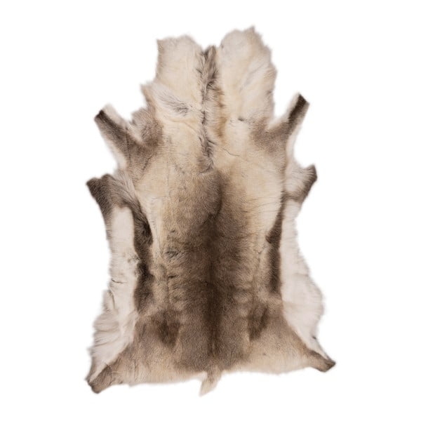 Hnedobéžová sobia kožušina Arctic Fur Reino, 120 × 100 cm
