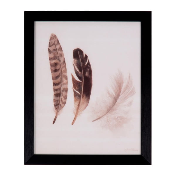 Obraz sømcasa Feathers, 25 × 30 cm