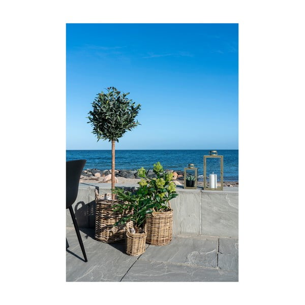 Umelá rastlina (výška  60 cm) Fig – House Nordic-image-3