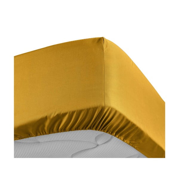 Žltá napínacia plachta z bavlneného perkálu 180x200 cm Percaline – douceur d'intérieur-image-3