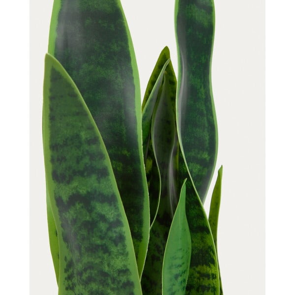Umelá rastlina (výška 55 cm) Sansevieria – Kave Home-image-3