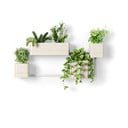 Závesné plastové kvetináče na bylinky v súprave 4 ks Cubiko – Umbra