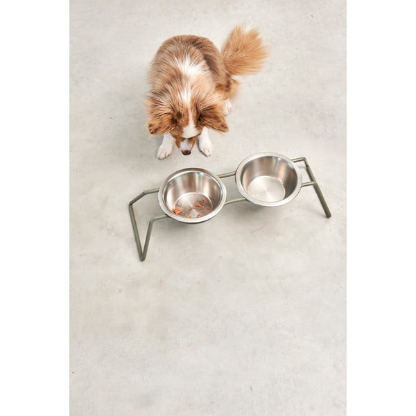 Súprava misiek s podstavcom pre psa z nehrdzavejúcej ocele Cena Grollive M – MiaCara-image-3