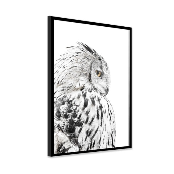 Obraz 50x70 cm Owl – Styler-image-3