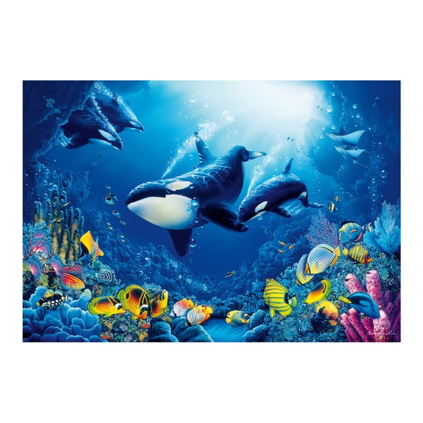 Veľkoformátová  tapeta Podmorský svet , 366x254 cm