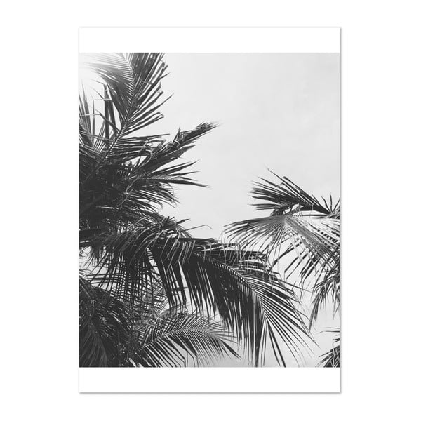 Plagát HF Living Botanic Palm, 50 × 70 cm