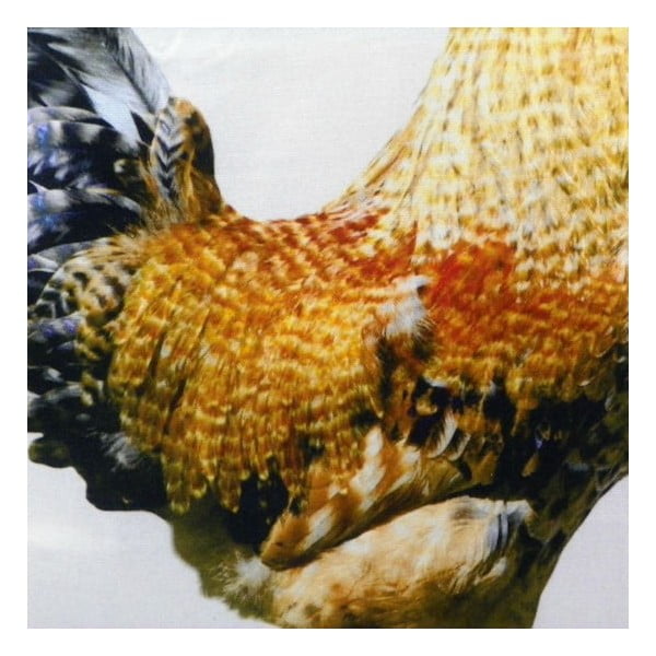 Vankúš Rooster 50x50 cm-image-2