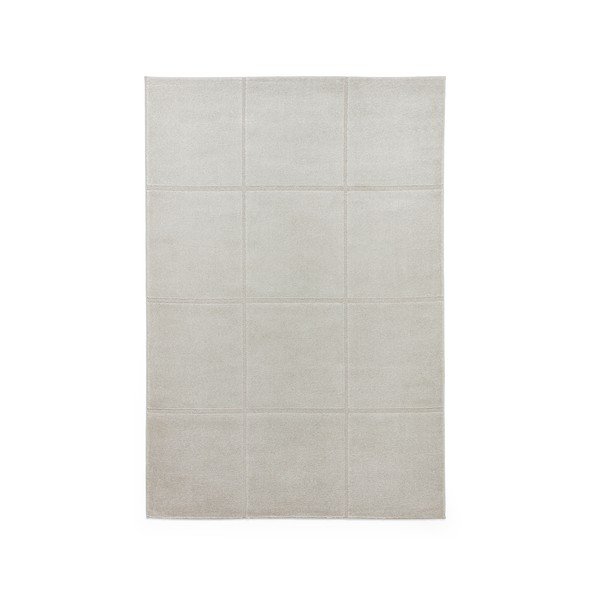 Svetlosivý koberec 120x170 cm Elio Silver – Think Rugs
