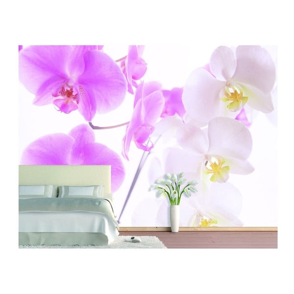 Tapeta Graceful Orchids, 400x280 cm