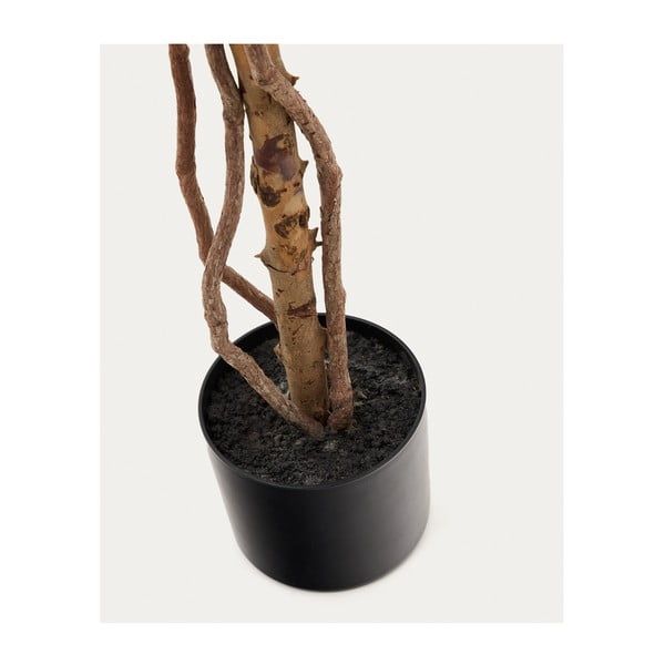 Umelý fikus (výška 180 cm) Ficus – Kave Home-image-2