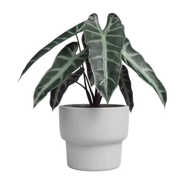 Keramický ručne vyrobený kvetináč ø 17 cm Echo – Artevasi-image-1