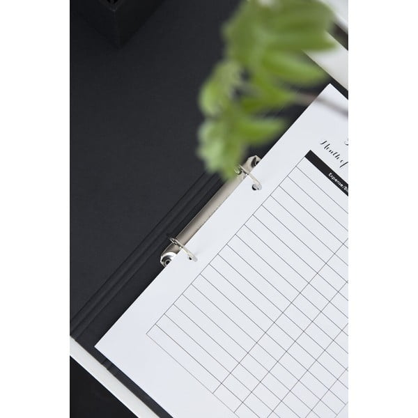 Kartónový organizér na dokumenty Ringo – Bigso Box of Sweden-image-1