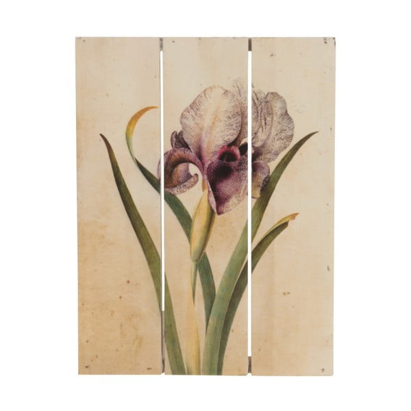 Drevený obraz Dijk Natural Collections Orchid, 19 x 25 cm