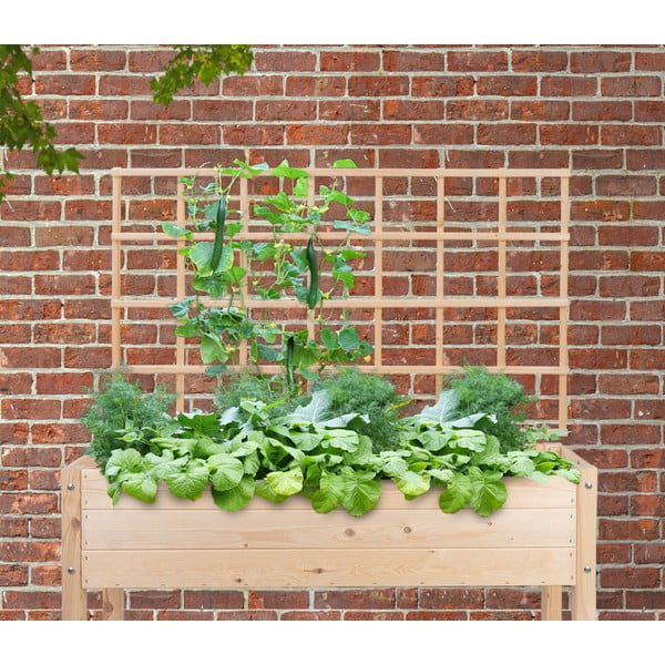 Mriežka na popínavé rastliny – Esschert Design-image-1