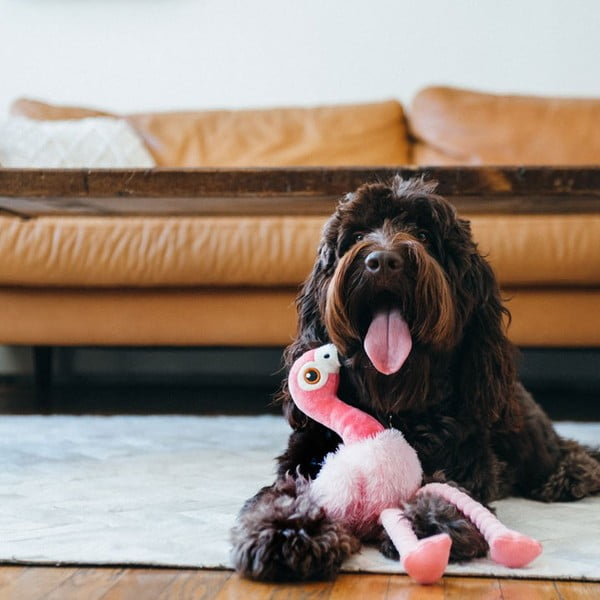 Hračka pre psa Plameniak – P.L.A.Y.-image-1