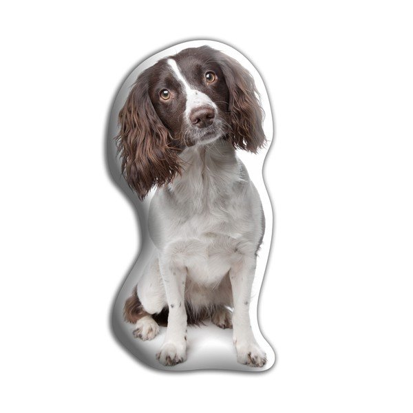 Vankúšik Adorable Cushions špringeršpaniel