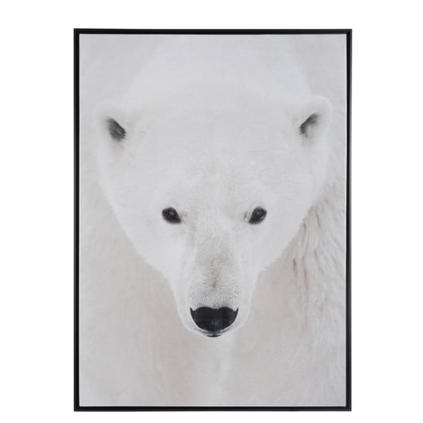 Zarámovaný plagát Polar Bear, 100x140 cm