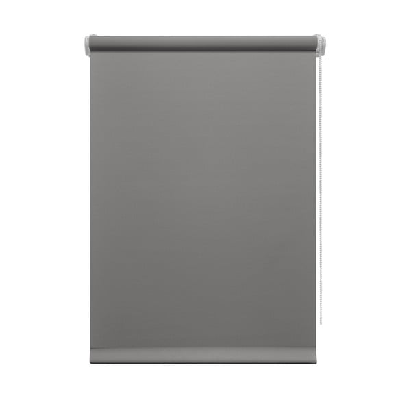 Tmavosivá roleta 80x150 cm Mini Relax – Gardinia