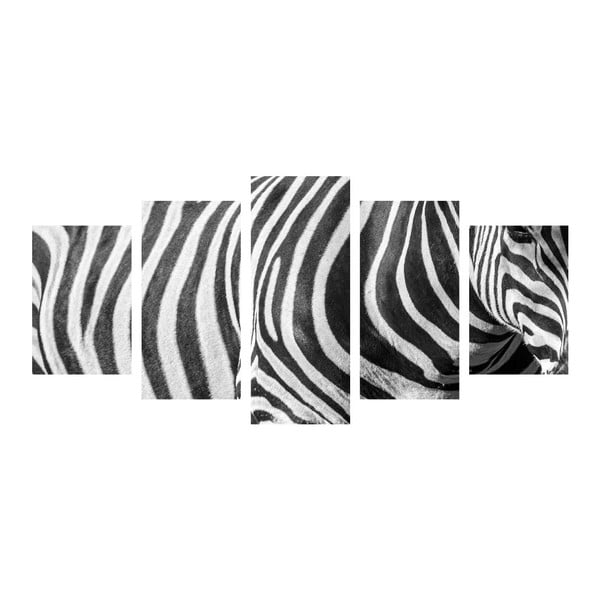 Viacdielny obraz Black&White Zebra