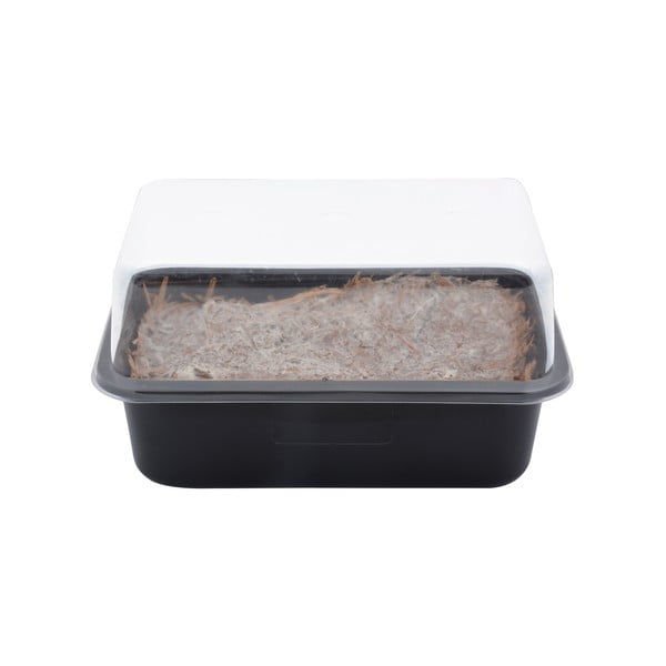 Pestiareň Field Mushroom – Esschert Design-image-3