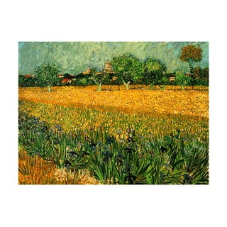 Reprodukcia obrazu Vincenta van Gogha - View of arles with irisos in the foreground, 40 × 30 cm
