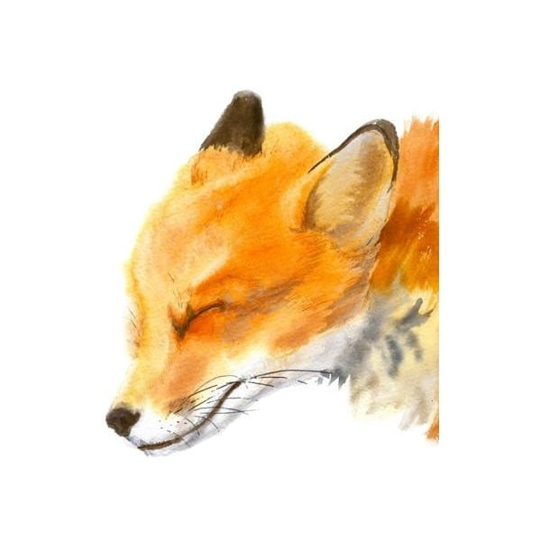 Plagát Chocovenyl Mama Fox, A3-image-2