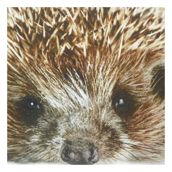 Vankúš Winter Hedgehog 50x50 cm-image-1