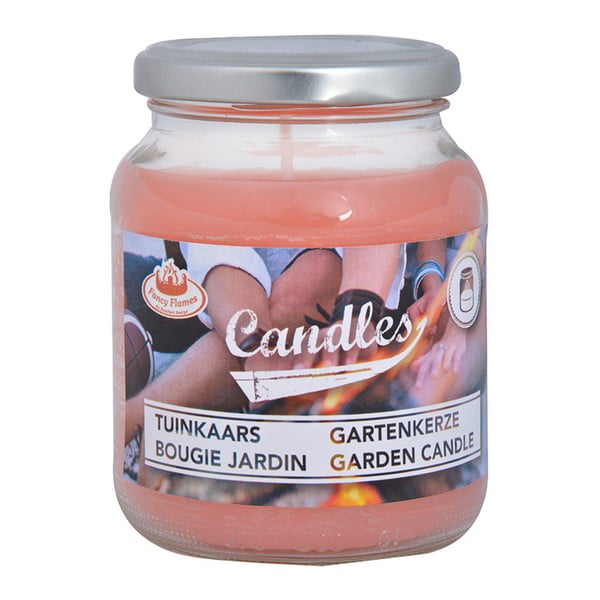 Sada 4 záhradných sviečok v poháriku Esschert Design Garden, doba horenia 36 hodín-image-2