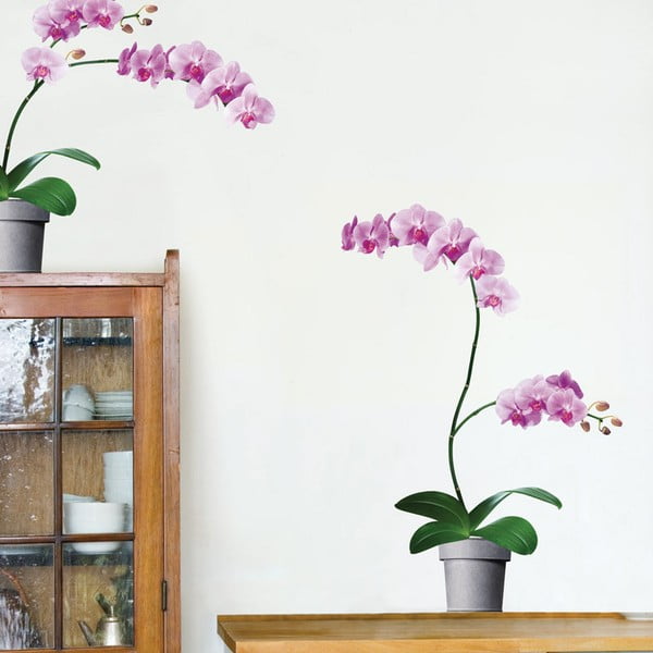 Samolepka na stenu Ružové orchidey