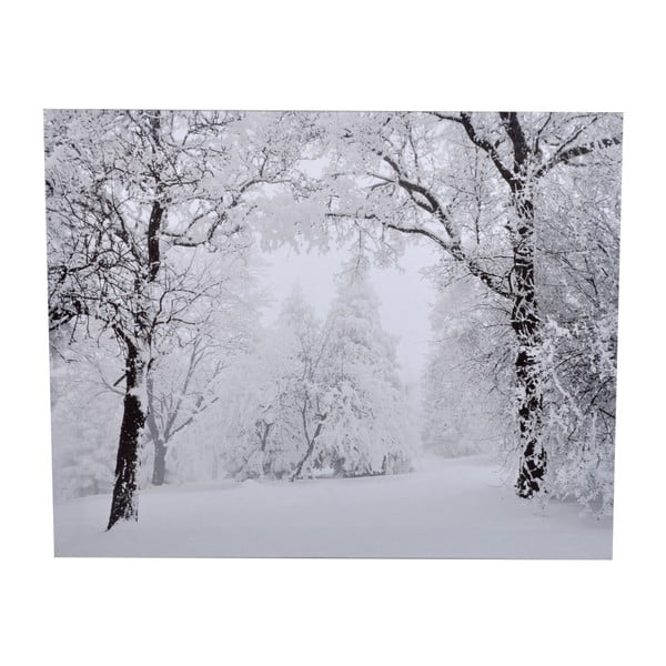 Obraz Ewax Snowy Nature, 40 × 50 cm