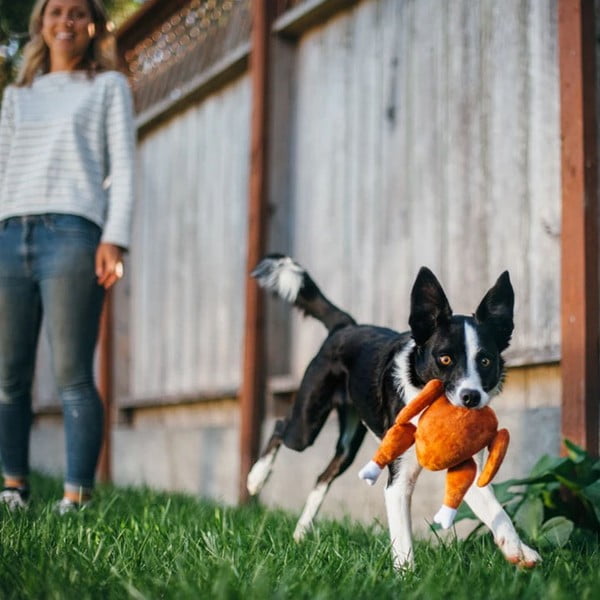 Hračka pre psa Moriak – P.L.A.Y.-image-1