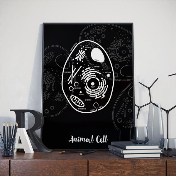 Čierny plagát Follygraph Animal Cell, 30 × 40 cm