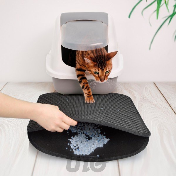 Podložka pod mačací záchod 50x40 cm – Love Story-image-1