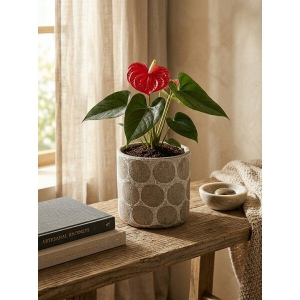 Terakotový ručne vyrobený obal na kvetináč ø 12 cm Felan – Bloomingville-image-2