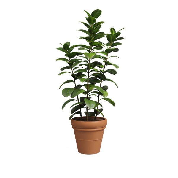 Kvetináč z terakoty ø 47 cm Mariza – Artevasi-image-4